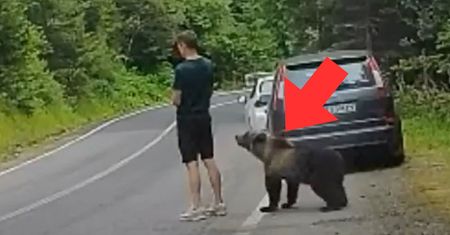 Nie widział zagrożenia? Nagranie z Rumunii obiegło sieć