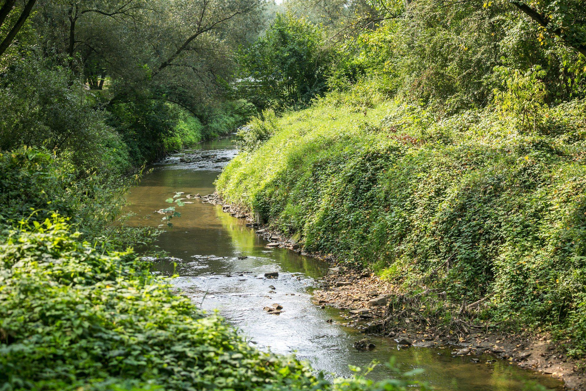 Park rzeczny Wilga w Krakowie