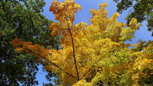 Panasonic Lumix LX5 - test [część 2] 22