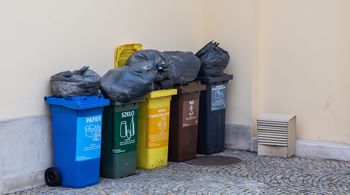 Zielona Góra: Zaglądnęli do śmieci. Co wynika z segregacji?
