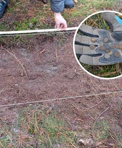 Ten skarb pamięta czasy potopu szwedzkiego. Niezwykłe odkrycie pod Bydgoszczą