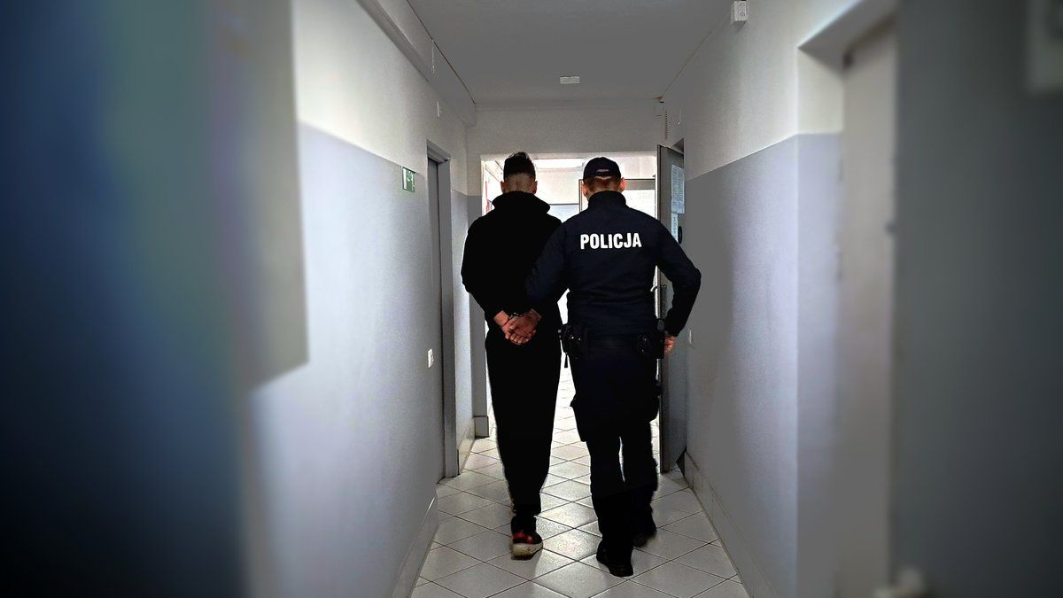 policja