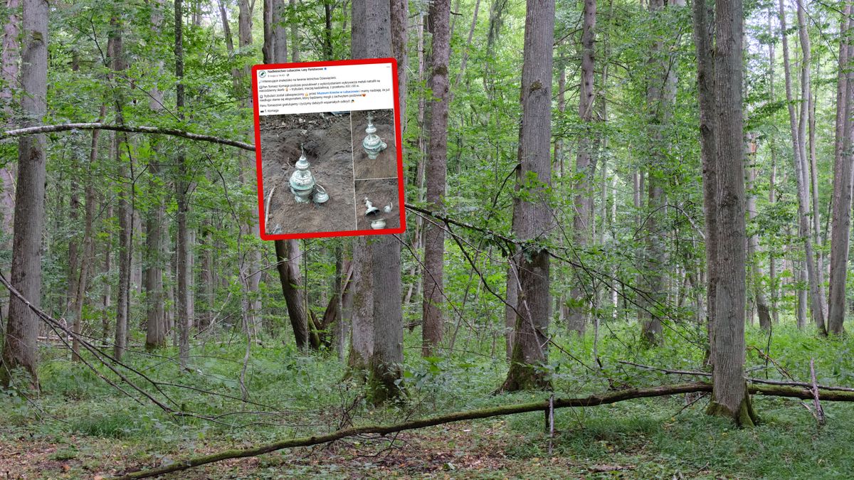 Interesujące znalezisko na terenie leśnictwa Dziewięcierz.