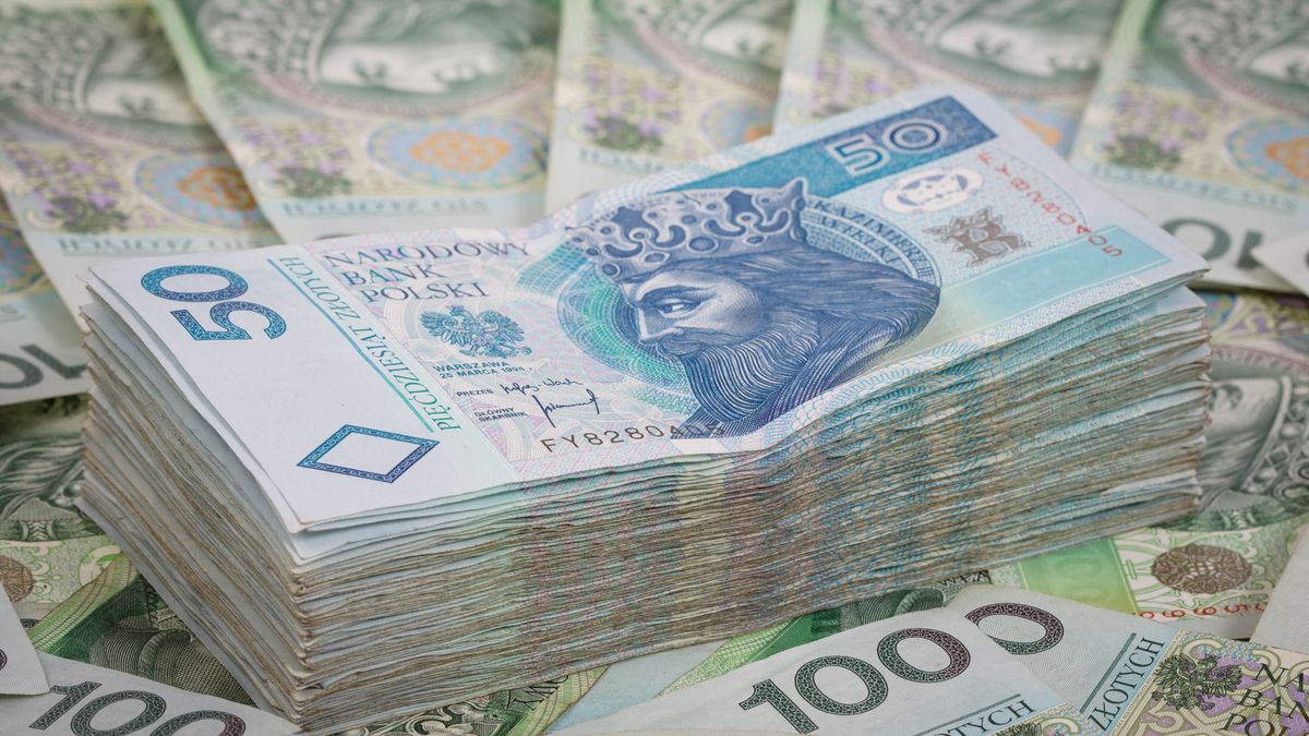 banknoty, biznes, bogactwo, gotówka, handel, kasa, kupno, kupowanie, polskie, portfel, sprzedawanie, sprzedaż, waluta, kryzys