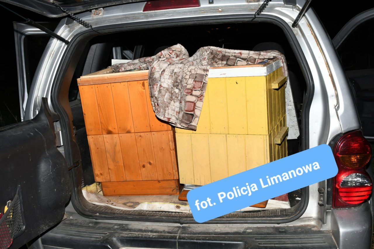 Ukradli dwa ule wraz z pszczołami. Wpadli na gorącym uczynku