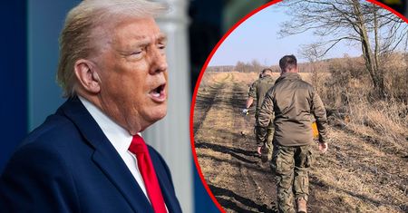 Pałac ws. TK, tajemnicze szczątki na Lubelszczyźnie, Trump o Iranie [SKRÓT DNIA]