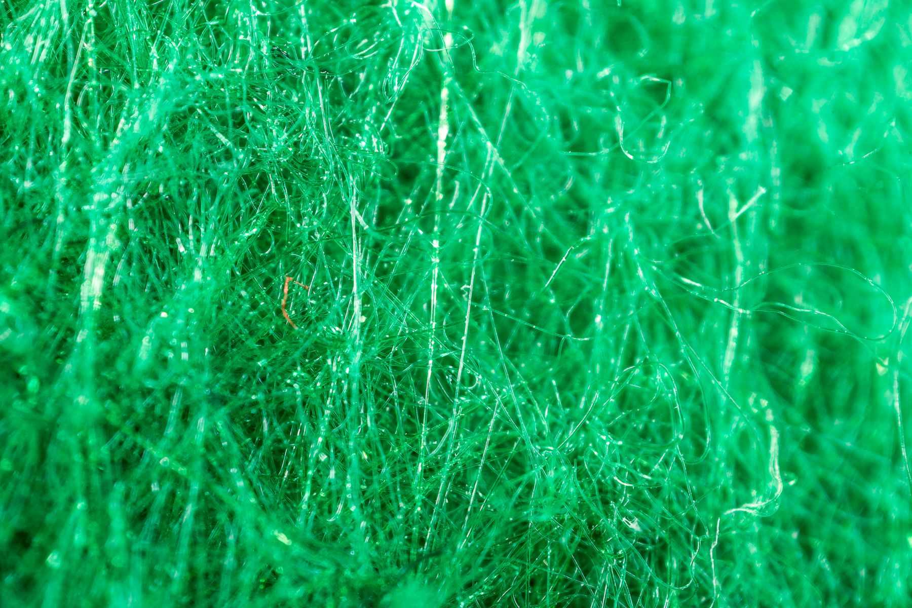 Mitakon 20mm F2 4.5x Super Macro - zanurz się w świecie makro 8