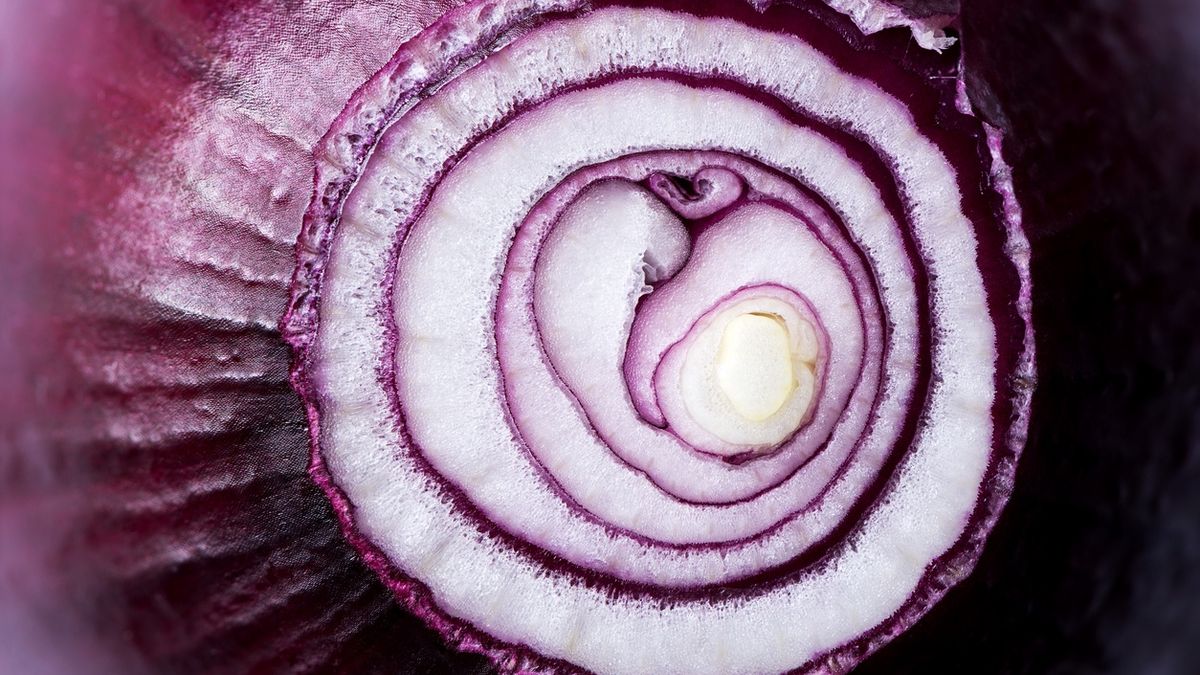 Czerwona cebula zabija komórki rakowe.