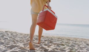 Jaką lodówkę turystyczną kupić? Zabezpiecz jedzenie w podróży