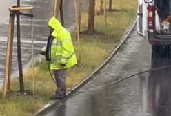 Szczecin. Podlewał drzewa w trakcie deszczu. Jest komentarz