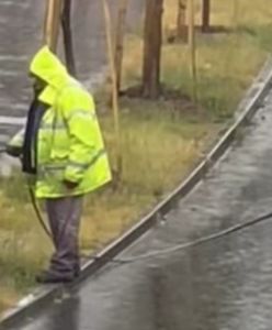 Szczecin. Podlewał drzewa w trakcie deszczu. Jest komentarz