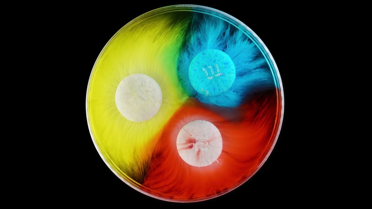 Cukierki M&M's tworzą majestatyczne strumienie koloru 1