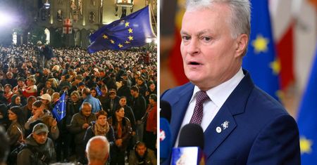 Pilny apel prezydenta Litwy. Domaga się międzynarodowego śledztwa