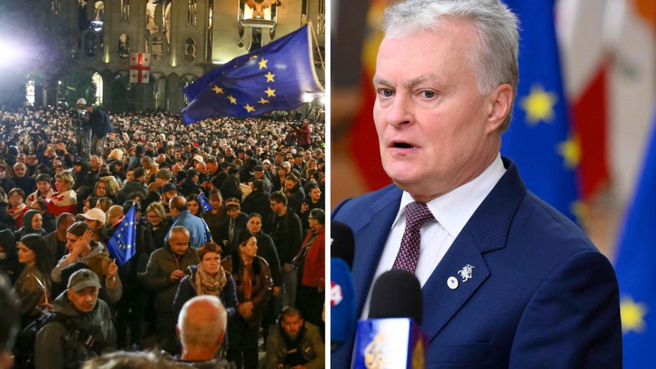Gitanas Nausėda apeluje ws. wyborów w Gruzji