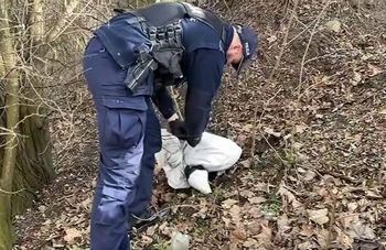 Trzemeszno: Wyrok za uśmiercenie psa. Sprawca trafi do więzienia