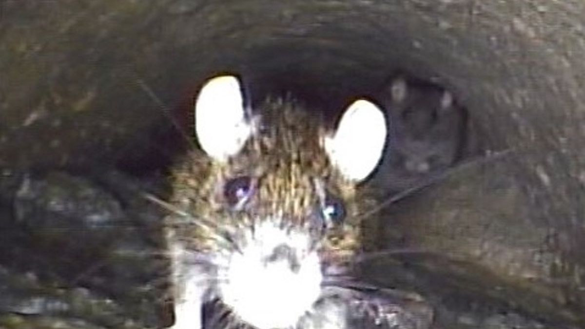 Firma pokazała zdjęcia