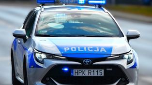 Zajazdem Piastów: Psy biegały po ruchliwej DK5