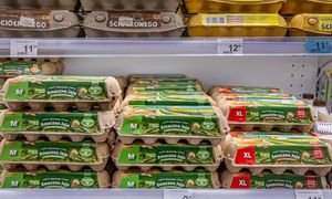 Jaja drożeją, ale ich nie zabraknie. Producenci i resort uspokajają