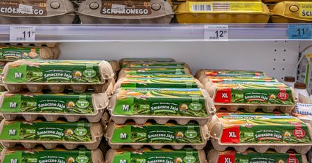 Jaja drożeją, ale ich nie zabraknie. Producenci i resort uspokajają