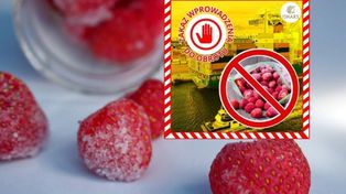 100 ton zepsutych truskawek z Egiptu zatrzymane na granicy. IJHARS zablokowała import