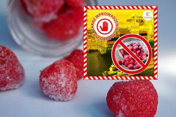 100 ton zepsutych truskawek z Egiptu zatrzymane na granicy. IJHARS zablokowała import