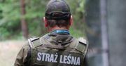 Kontrole w lasach w całym kraju. Już od 4 marca