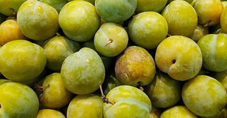 Zdrowotna bomba. Obniżają cholesterol i chronią przed miażdżycą