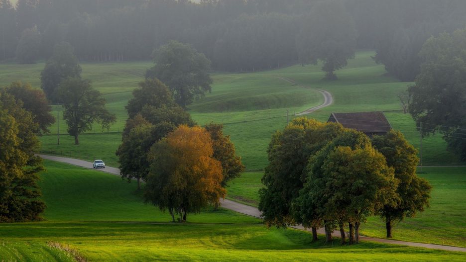 Śląskie. Pogoda na poniedziałek. Rano w niektórych miejscach wystąpią mgły.