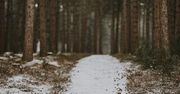 Wskazówki dotyczące przygotowywania najlepszego jedzenia na biwak