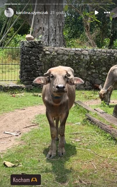 Wspólny wyjazd Piotra Adamczyka i Karoliny Szymczak