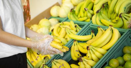 Klientka sklepu ukąszona przez egzotycznego pająka? Ekspert: to możliwe
