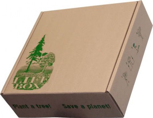 Zasadź to pudełko, a razem z nim ponad 100 nowych drzew