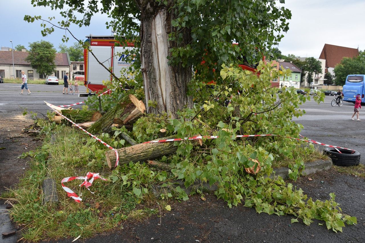 IMGW wydaje ostrzeżenia dla zachodniej Polski, zacznie się około 13 i potrwa do wieczora
