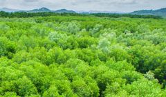 Połowa Polaków uważa, ze zmiana stylu życia może poprawić stan klimatu