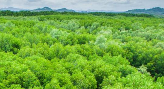 Połowa Polaków uważa, ze zmiana stylu życia może poprawić stan klimatu