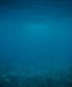 USA. Tony toksycznych beczek zalegają u wybrzeży Kalifornii