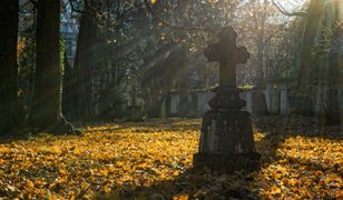 Koronawirus. Tragiczna sytuacja tuż za polską granicą. Krematorium w Goerlitz przepełnione