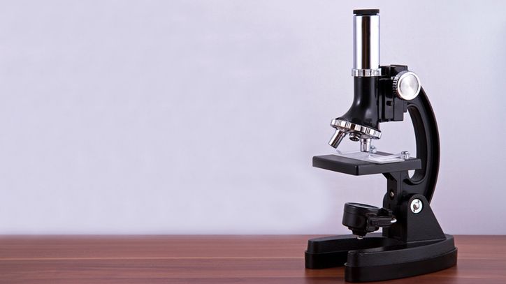 Mikroskop pozwoli dziecku rozwijać zainteresowania, a przy tym poszerzać wiedzę z dziedzin takich jak biologia czy geologia