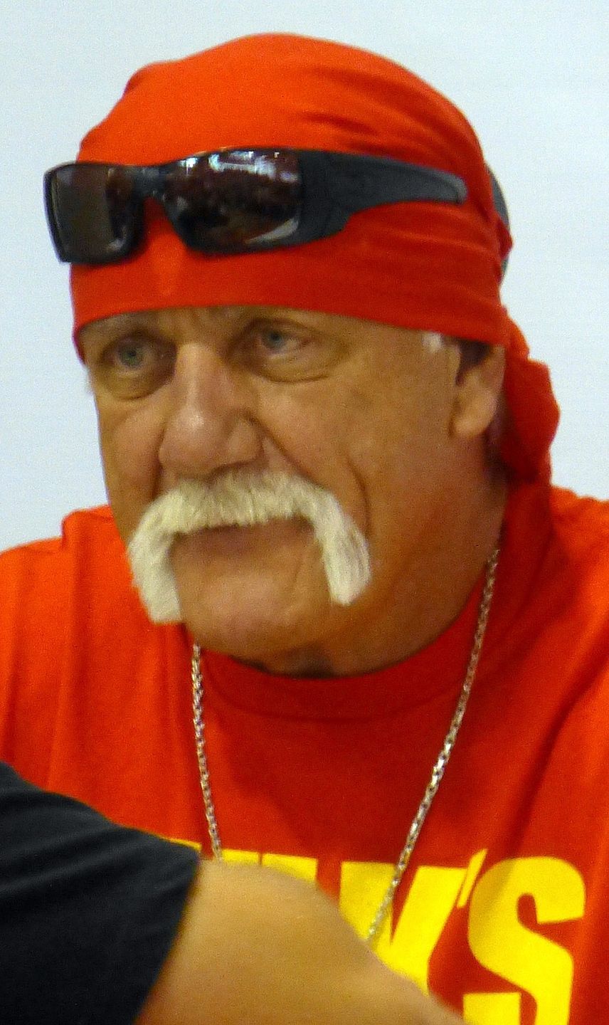 Hulk Hogan w 2014 roku