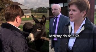 Beata Szydło na wsi: "Krowy za nami patrzą. Chodźmy do osiołka. CZEŚĆ OSIOŁEK!"