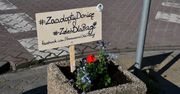 "Zaadoptuj donicę". Świetna inicjatywa na warszawskiej Pradze
