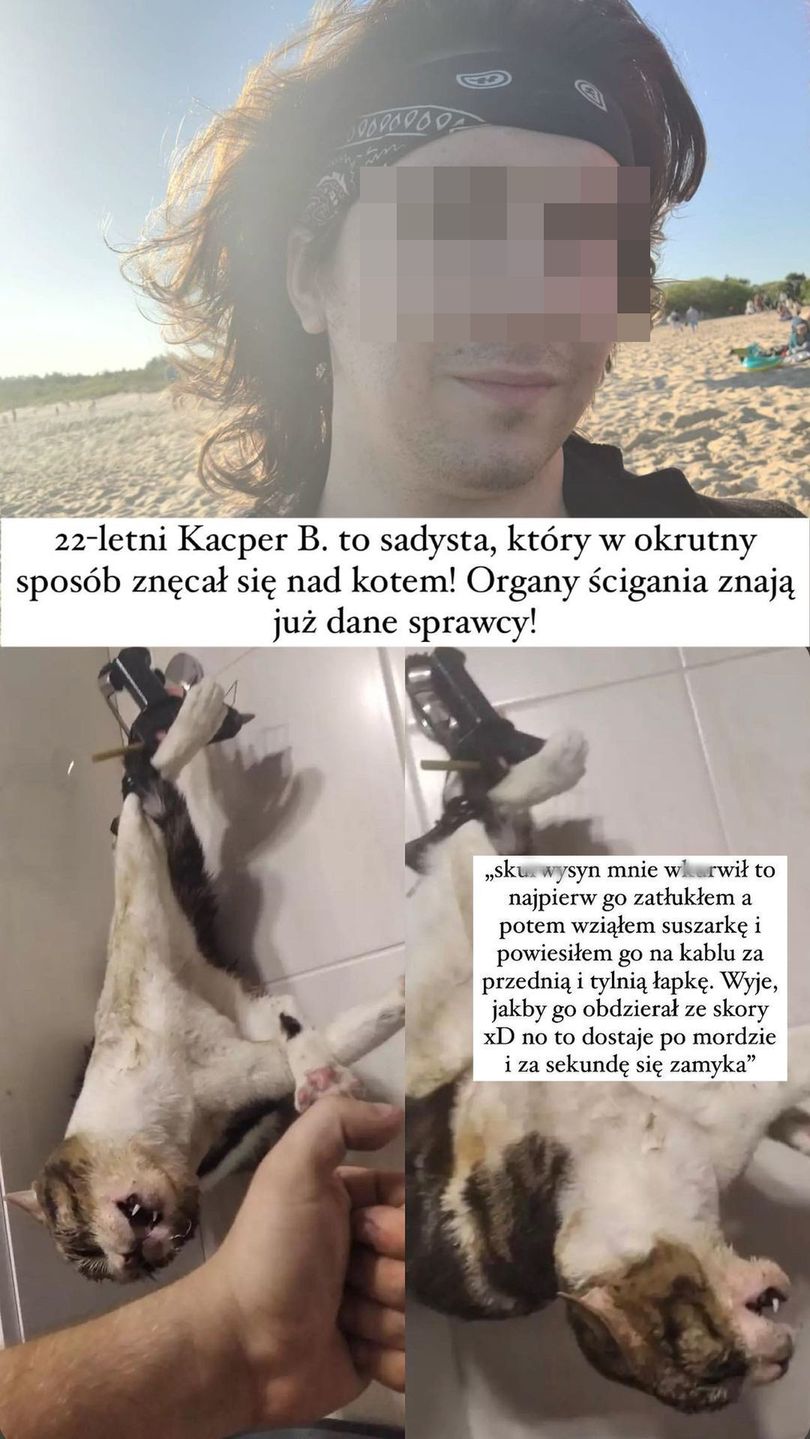 Sadysta, który znęcał się nad kotem ODNALEZIONY! Sam zgłosił się na policję