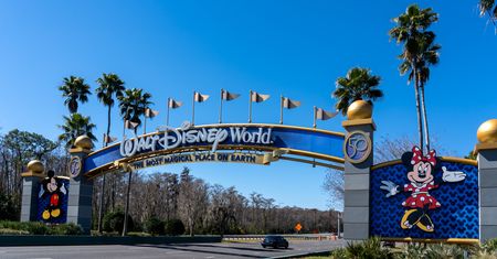 Najdroższe płatki świata? "W Disneyu smakuje lepiej". W sieci rozpętała się burza