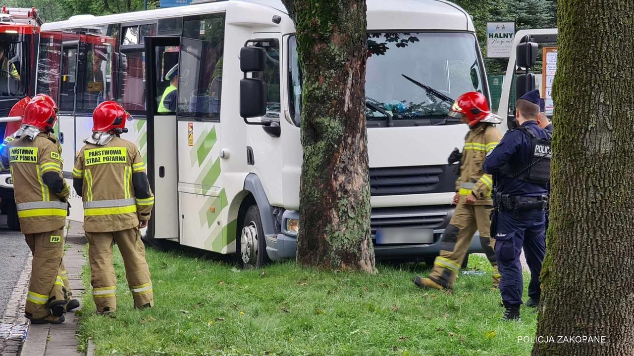 Wypadek w Zakopanem. Bus wjechał w drzewo
