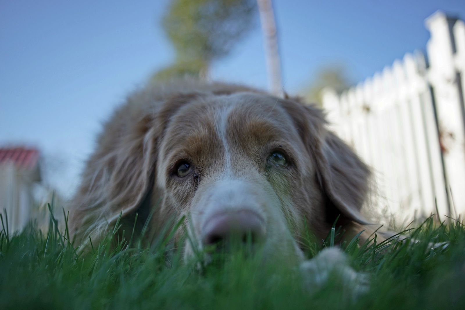 Trzydziestka piątka kontra trzydziestka piątka czyli Sony A7 + Sony Zeiss Sonnar T* FE 35 mm f/2,8 ZA i Canon FD 35 mm f/2,8 29
