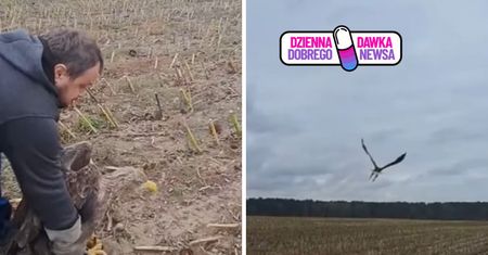 Kolejny bielik uratowany. Ptak wrócił na wolność. Leśnik: był zatruty