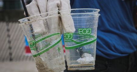 Alternatywy dla plastikowych opakowań. Oto co może je zastąpić
