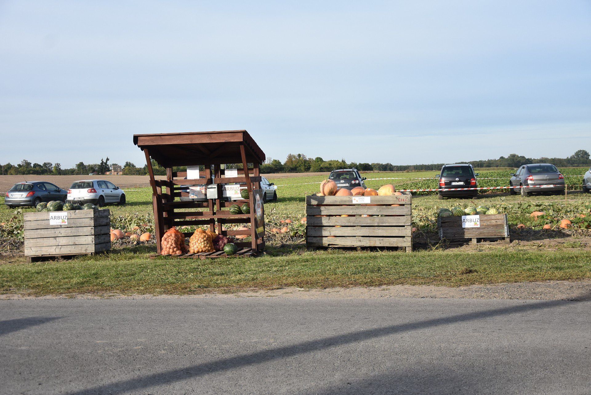 Dyniowy Ogród w Kłodzinie
