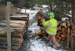 Leśnicy wściekli na Niemców. Padły mocne oskarżenia
