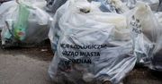 Poznaniacy walczą z zaśmieceniem miasta. Wiosenne Porządki 2025